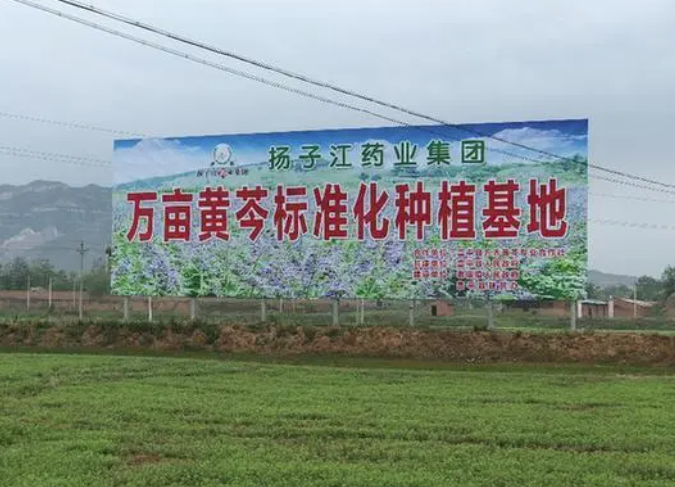 揚子江藥業(yè):彰顯藥企責(zé)任擔(dān)當(dāng) 掌握精準(zhǔn)扶貧“金鑰匙” 揚子江藥業(yè):彰顯藥企責(zé)任擔(dān)當(dāng) 掌握精準(zhǔn)扶貧“金鑰匙”